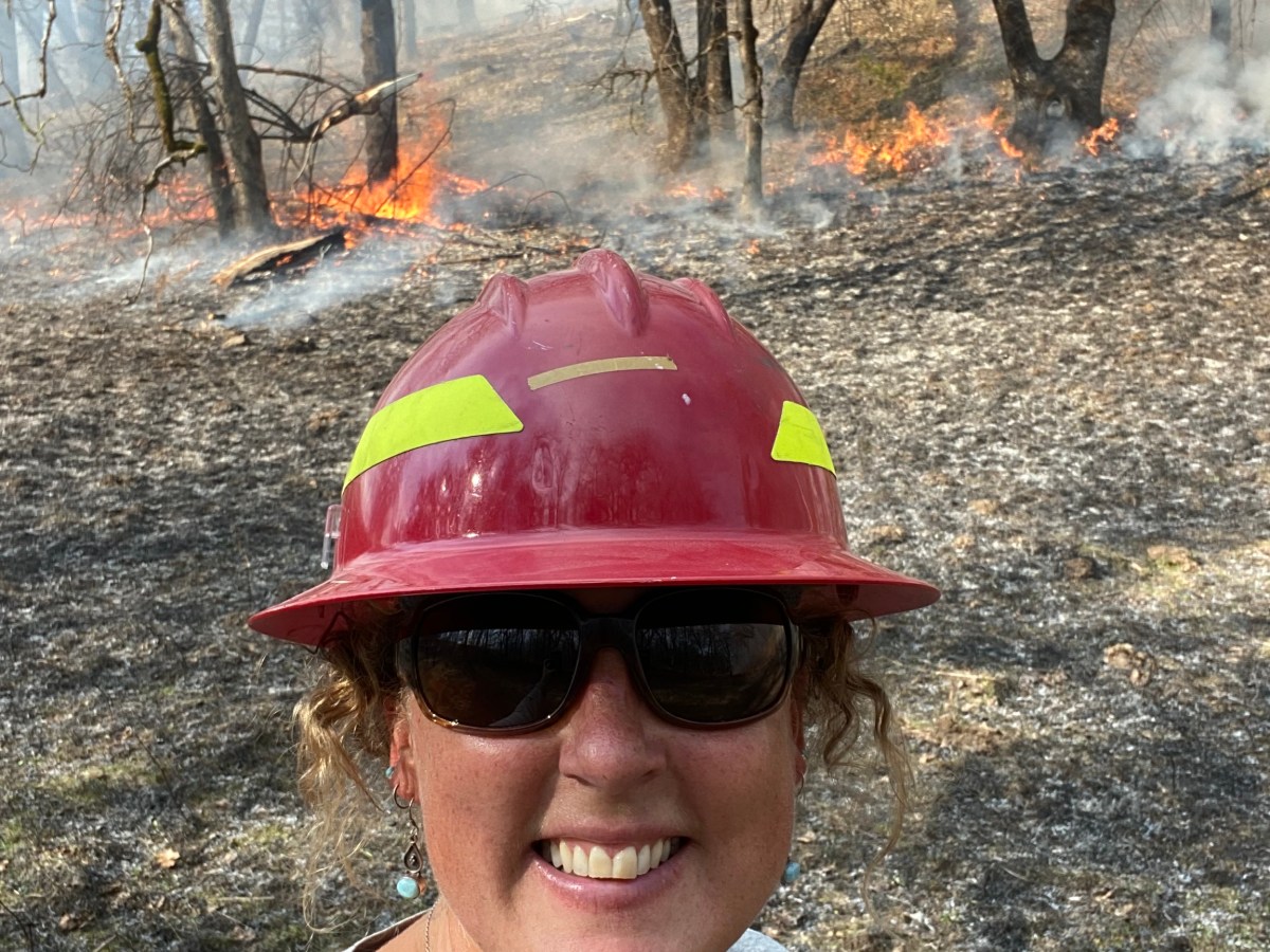 #130: Burning Questions: Understanding Fire Management with Lenya&nbsp;Quinn-Davidson