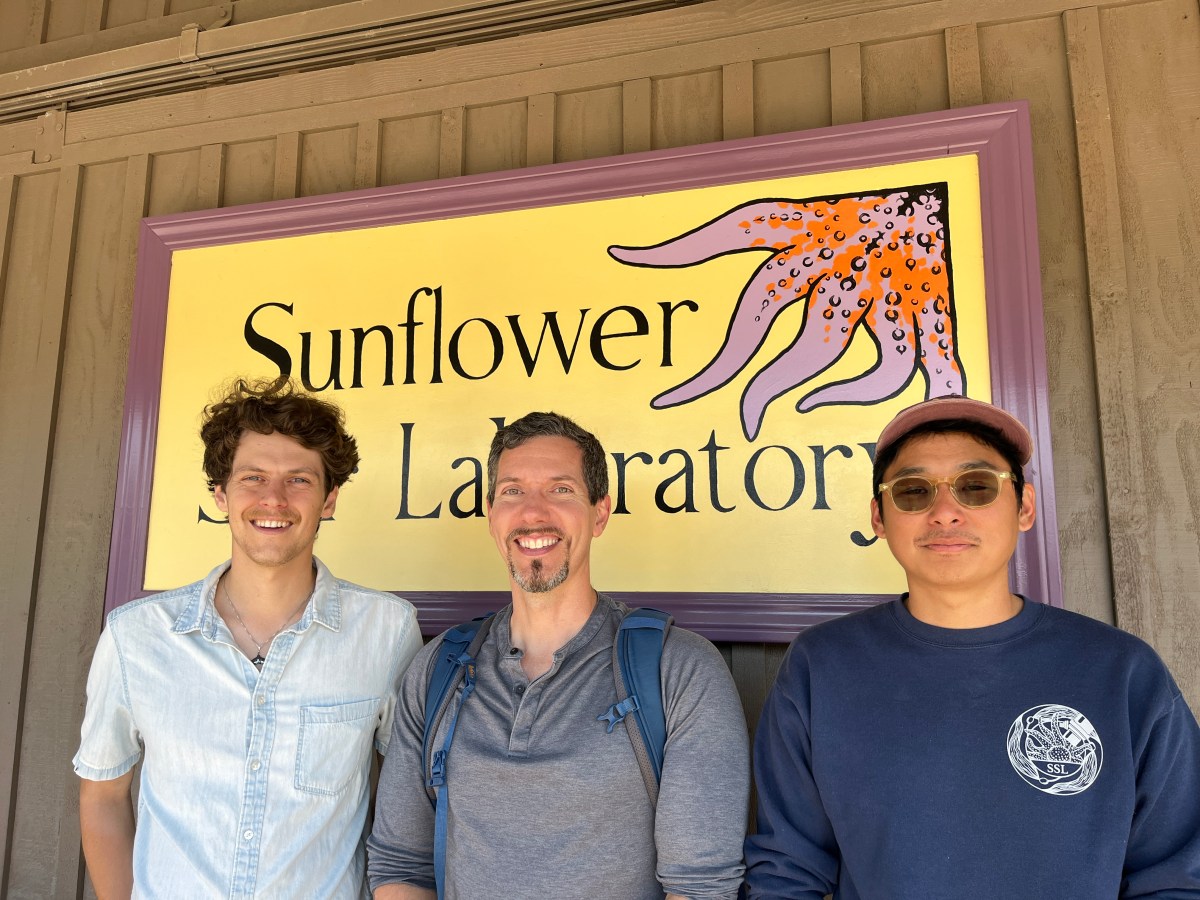 #126: New Hope for Sunflower Sea&nbsp;Stars